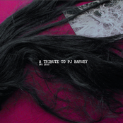 Tribute To PJ Harvey Dry