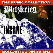 The punk collection