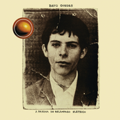 A Página Do Relâmpago Elétrico