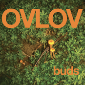 Ovlov: Buds