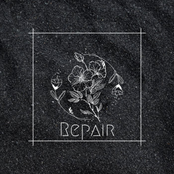 Repair