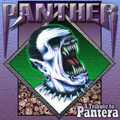 Panther - A Tribute To Pantera