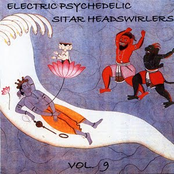 Electric Psychedelic Sitar Headswirlers Vol.9