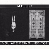 You Are Being Lied To!