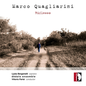Marco Quagliarini: Riflesso