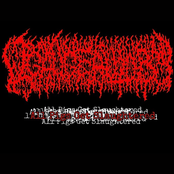 All Pigs Get Slaughtered