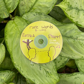 rare words (b sides)