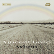 I Wrote This Song For The Girl Paris Hilton by Vincent Gallo