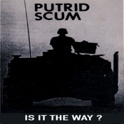 Is It The Way?