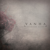 Starless Sleep - Single