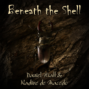 Beneath the Shell
