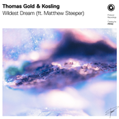 Wildest Dream (feat. Matthew Steeper) - Single