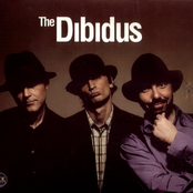 dibidus