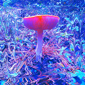 Spaghetti Castle / Crepuscular Entity