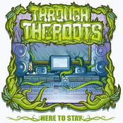 Through The Roots: Here to Stay