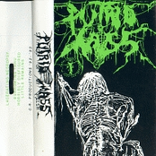 Stripped Of My Flesh