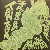 Noise Circus From Japan