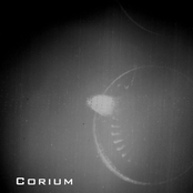 corium