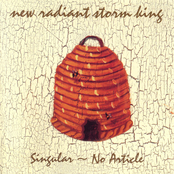 Singular - No Article