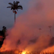 Burning California Seacoast Tragedy