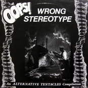 Oops! Wrong Stereotype