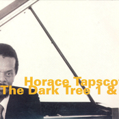 Bavarian Mist by Horace Tapscott