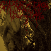 Dhemonhiium Drakhularus (Split)