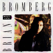 Just The Bass by Brian Bromberg