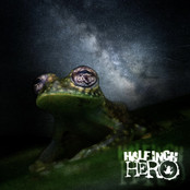 My (Petro)chemical Romance