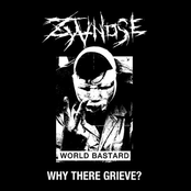 ZyanosE: Why There Grieve?