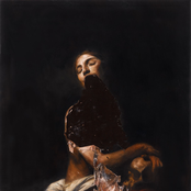The Veils: Total Depravity