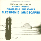 Electronic Landscapes