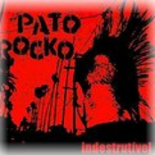 pato rocko