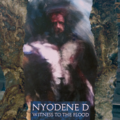 Witness To The Flood