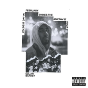 Coldest Day in February Shines the Amethyst Rock