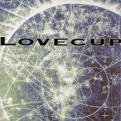 Entirely Made Of Wood by Love Cup