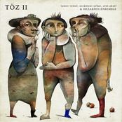 Töz II