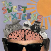 the sweet sixteens