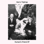 Human's Friend