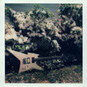 Cloutchaser: 1, 2, Fuck