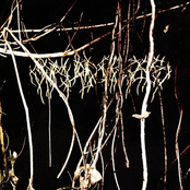 Carved Cross / Phantom Feel