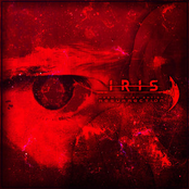 Heart Of An Artist: Resurrection