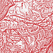 Materializing Defective Fascia