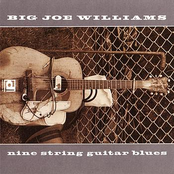 I Got The Best King Biscuit by Big Joe Williams