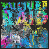 Vulture Raid