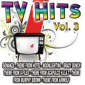 TV Hits Vol. 3