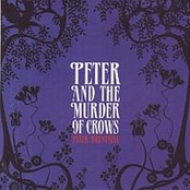 Peter And The Murder Of Crows