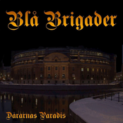 Dårarnas Paradis