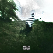 dead roses . ugly summers