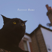 Forever Home